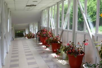 Отель Пикет санаторий Россия, Кисловодск, фото 8