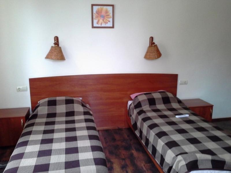 Подсолнухи