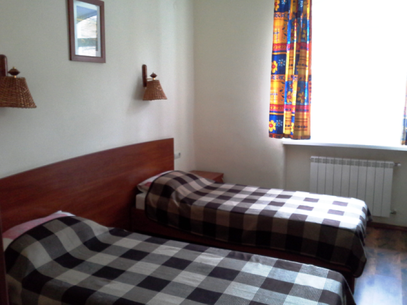 Подсолнухи