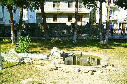 Полярные зори