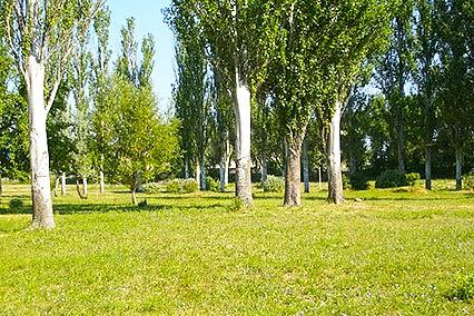 Полярные зори