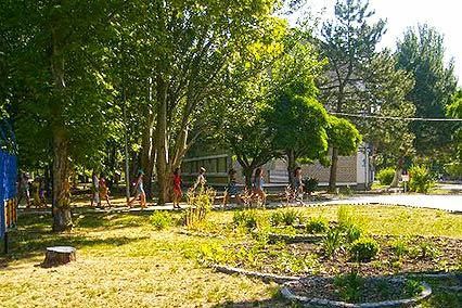 Полярные зори