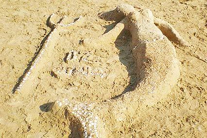 Полярные зори