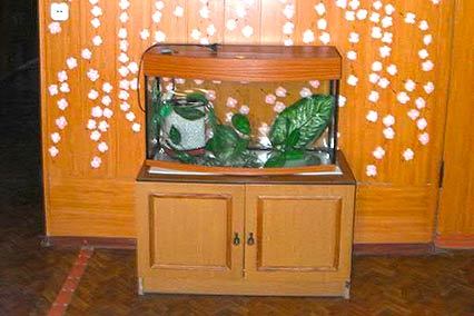 Полярные зори