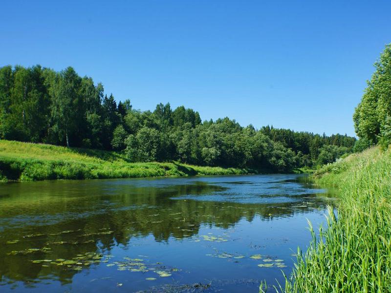 Прибрежный Ярбург