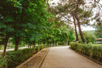 Отель Приморский пансионат (Кабардинка) Россия, Геленджик, фото 11