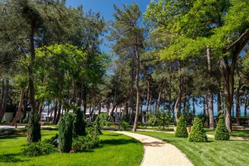 Отель Приморье Grand Resort Россия, Геленджик, фото 25