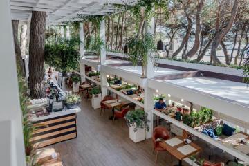 Отель Приморье Grand Resort Россия, Геленджик, фото 5