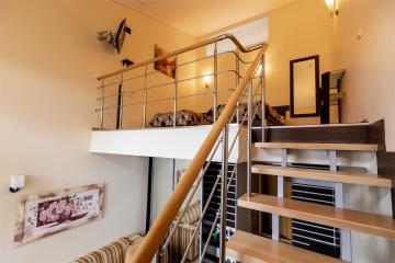 Отель Прионежский Россия, Петрозаводск, фото 7