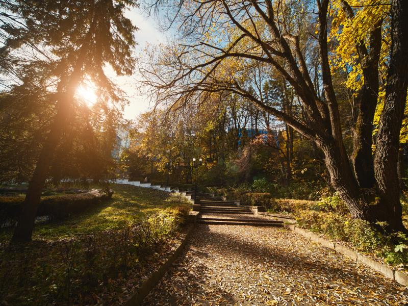 Родник санаторий