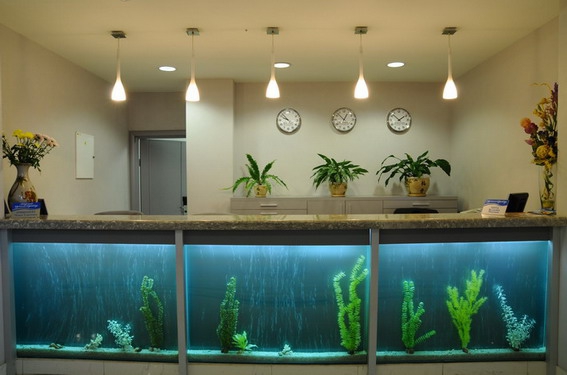 Родник Алтая