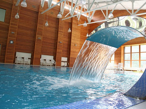 Романов лес