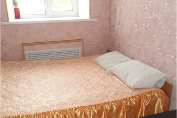 Отель Мини-отель Лира (Московский пр.) Россия, Санкт-Петербург, фото 4