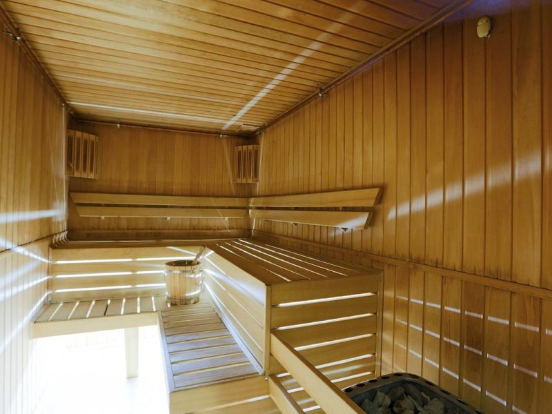 Сагаан Морин