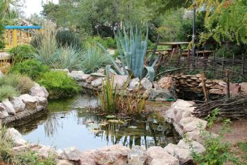 Отель Северное Сияние санаторий Россия, Саки, фото 3