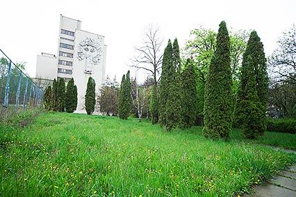 Санаторий им. Семашко