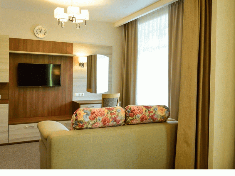 Сибирь санаторий 3*