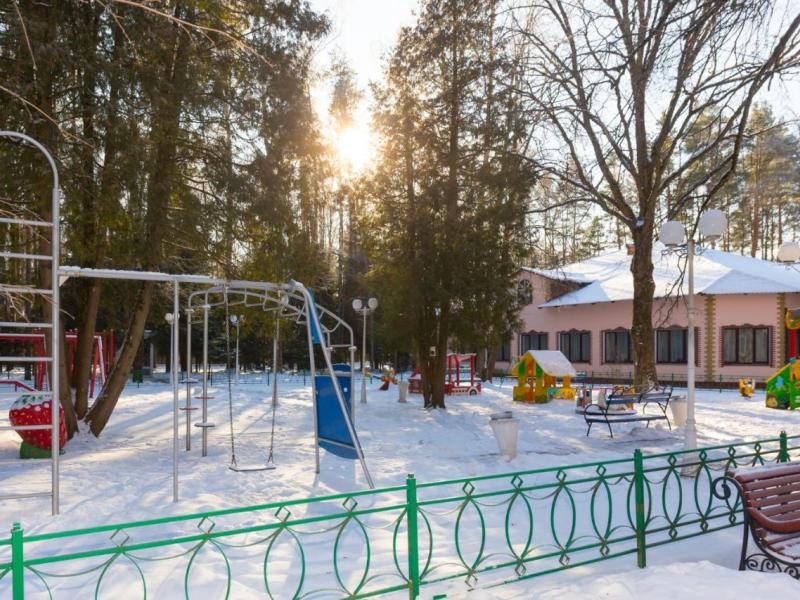 Снегири