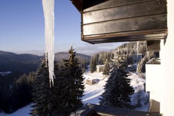 Отель Snezhanka Болгария, Пампорово, фото 3