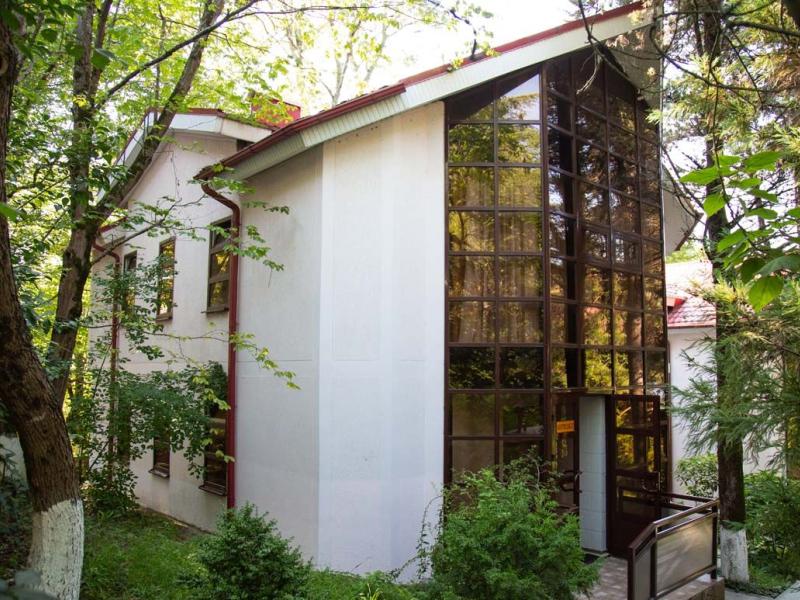 Ателика Сокол