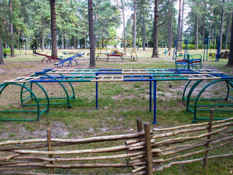 Сокол