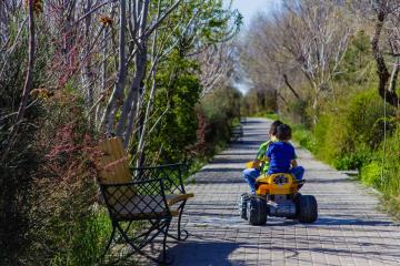 Отель Солнечная Долина Пансионат Россия, Оленевка, фото 11