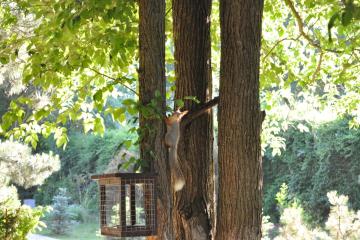 Отель Солнечная Долина Пансионат Россия, Оленевка, фото 13