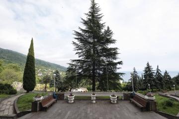 Отель Солнечный дом отдыха Абхазия, Гагра, фото 12