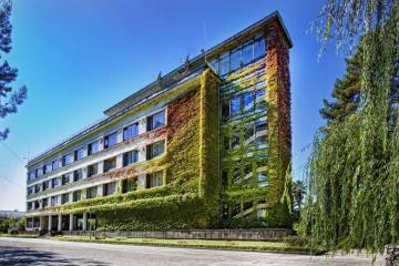 Отель Сосновая Роща Абхазия, Пицунда, фото 2