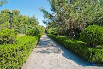 Отель Сосновая Роща Абхазия, Пицунда, фото 26