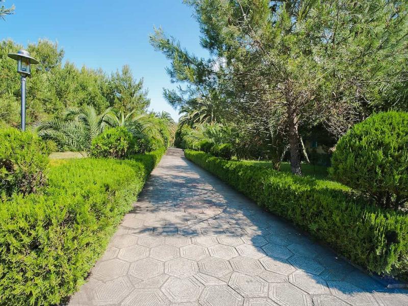 Сосновая Роща