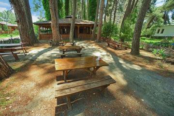 Отель Сосновая Роща Абхазия, Пицунда, фото 27