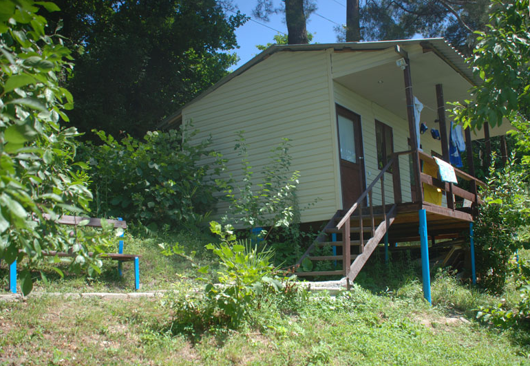 Сосновый Бор