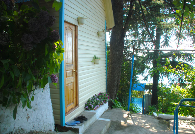 Сосновый Бор