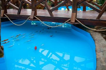 Отель Пансионат София (Пионерский пр.) Россия, Анапа, фото 24