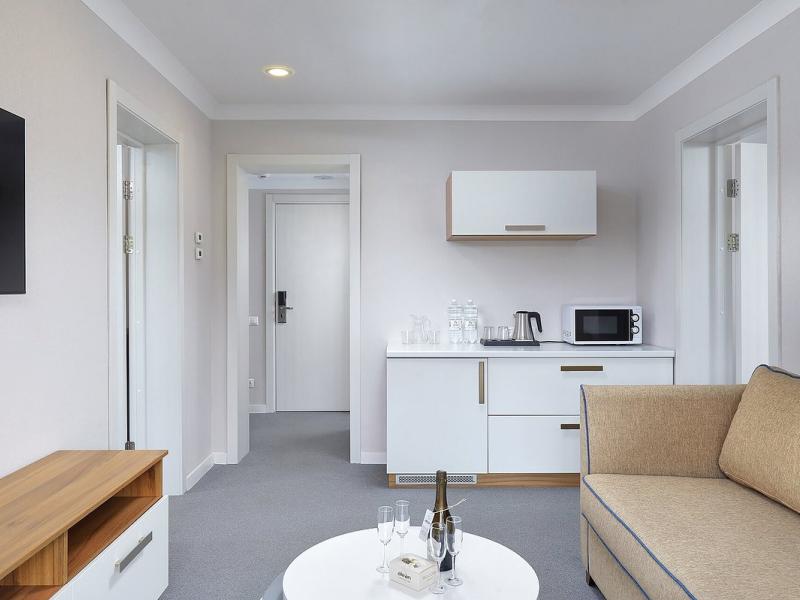 Alean Family Sputnik