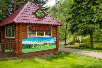 Отель Старые Друзья Россия, Белокуриха, фото 10