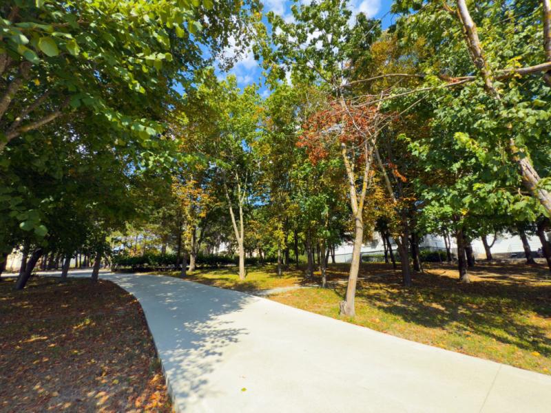 Ателика Тешебс