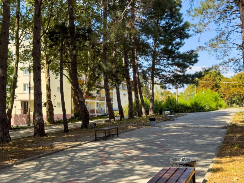 Ателика Тешебс