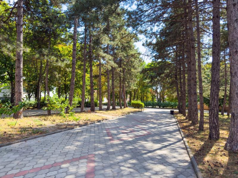 Ателика Тешебс