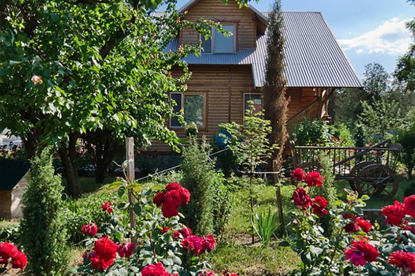 Украина 1