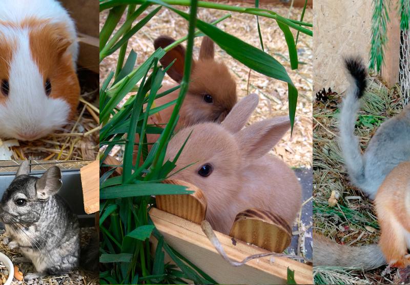 Уральские самоцветы