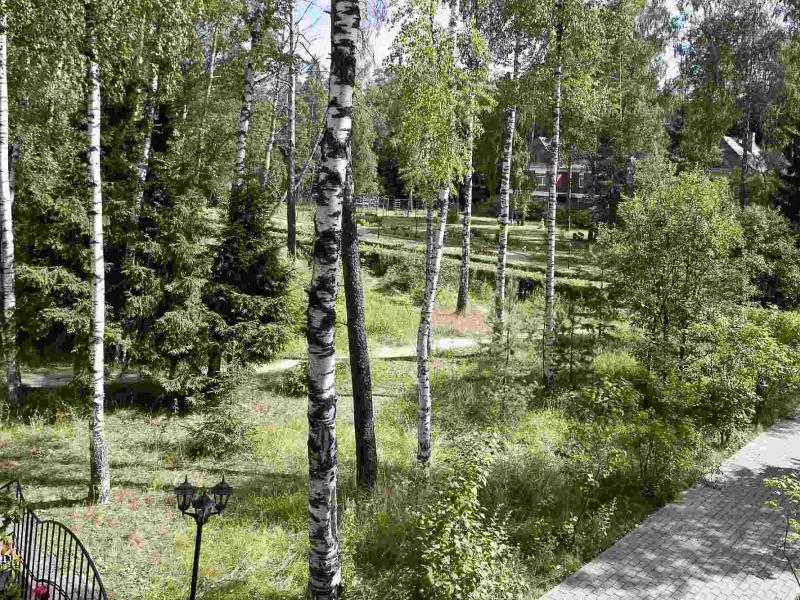 Загородный клуб Усадьба