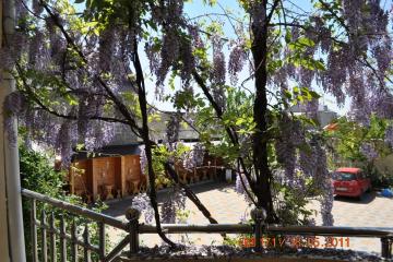 Отель Гранд-отель Уют Россия, Краснодар, фото 21