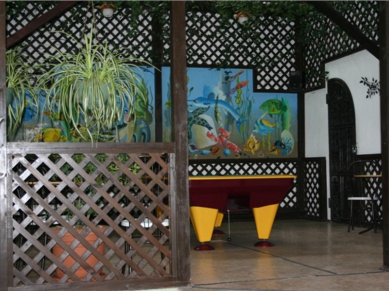 Фазотрон - С