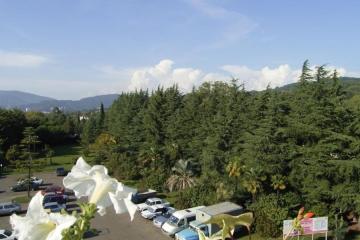 Отель Флора Россия, Адлер, фото 13