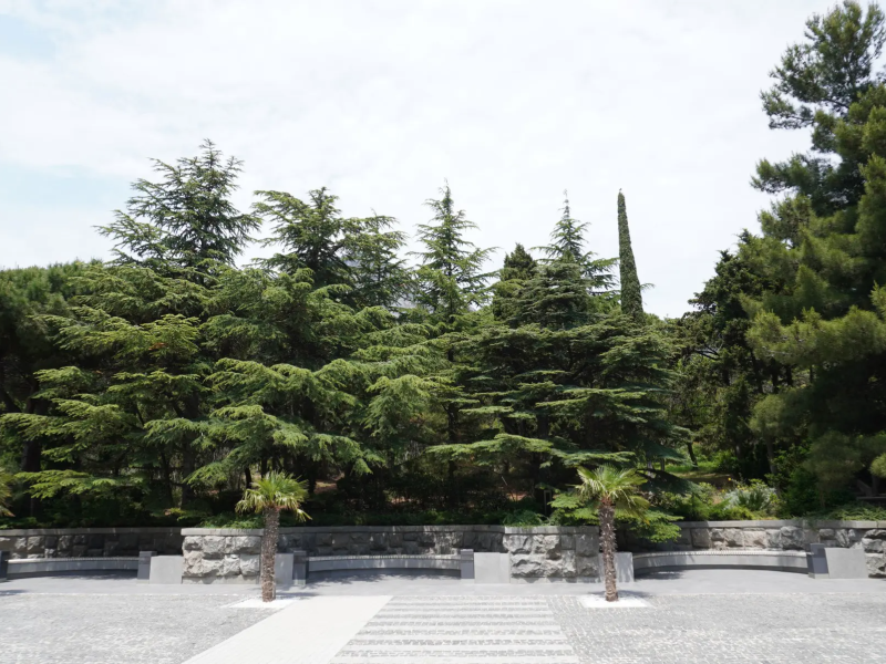 Foros Wellness & Park