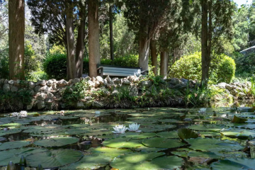 Отель Foros Wellness & Park Россия, Ялта, фото 7