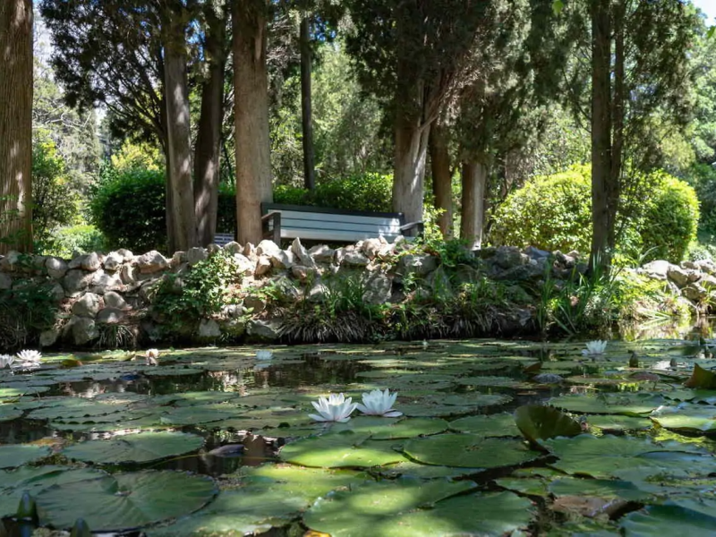 Foros Wellness & Park