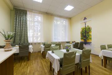 Отель Санаторий Целебный ключ Россия, Ессентуки, фото 26
